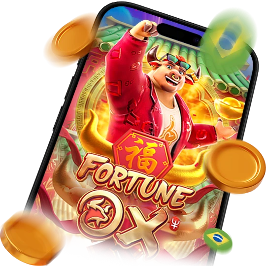 Jogo do Touro no Brasil